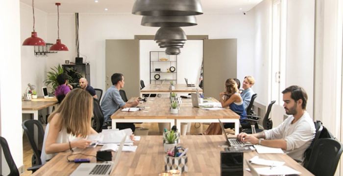 Animais de estimação podem ser considerados ente de extensão da família