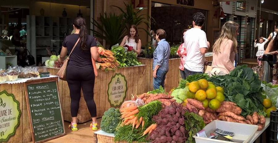 Condomínio tem o dever de tomar atitude contra apartamentos com infestação de pragas