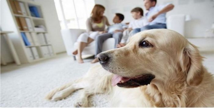 8 ações conjuntas inovadoras que vão mudar o Vida nos Condomínios