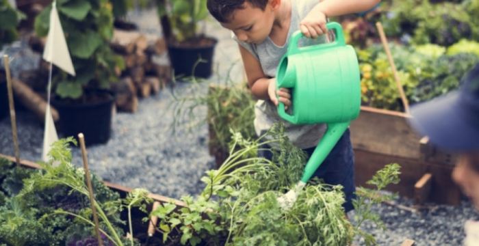 A área da minha casa é o dobro das outras.